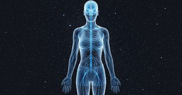 human nervous system , mouth tape benefits